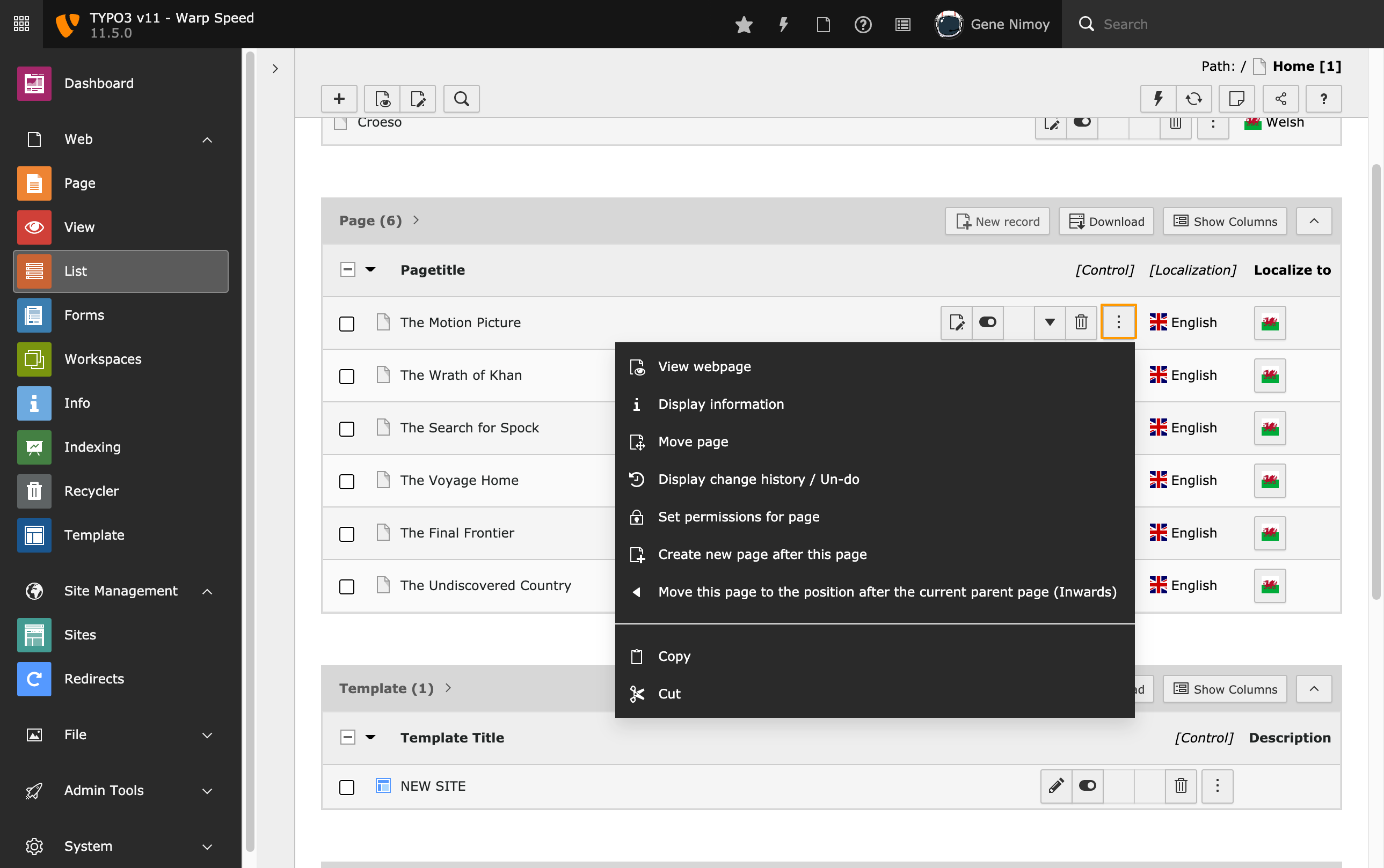 TYPO3 Backend: Listenmodul erweiterte Ansicht TYPO3 Backend: Listenmodul erweiterte Ansicht