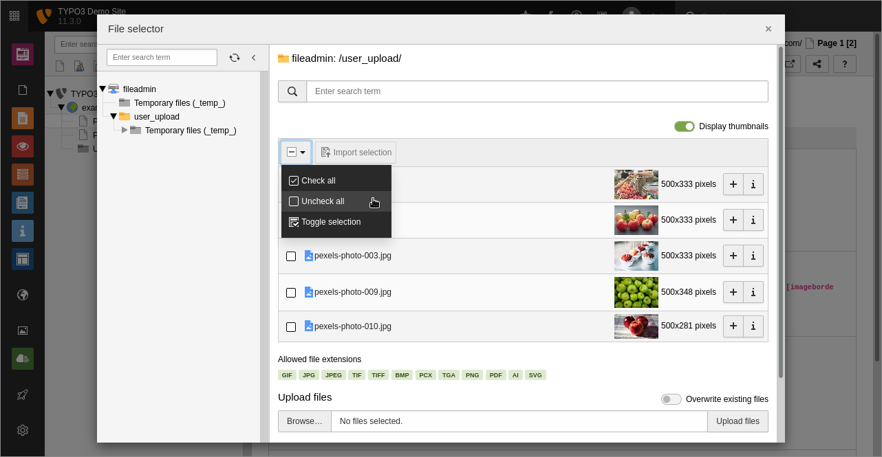 TYPO3 Backend: Auswahl von Dateien und Datensätzen TYPO3 Backend: Auswahl von Dateien und Datensätzen