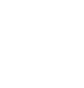 web-vision web-vision